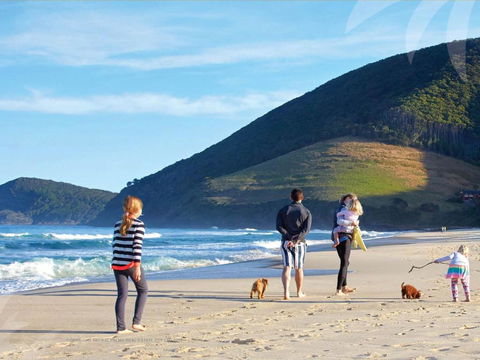 True Blue - Accommodation NSW 3