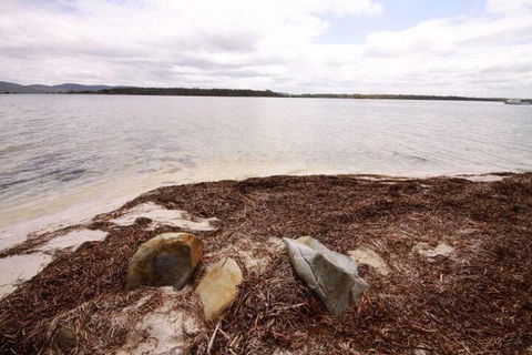 Berringar 71 Green Point - Accommodation NSW 4