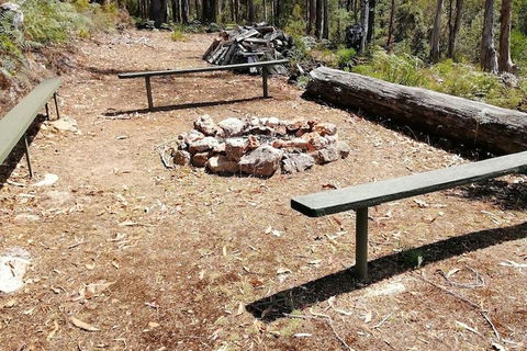 Minnow Cabins - Accommodation NSW 5