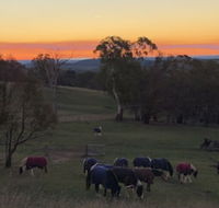 High Country Trail Rides  Farm Stay - Accommodation NSW