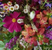 Ahvenbloem Park Winganna - Accommodation NSW