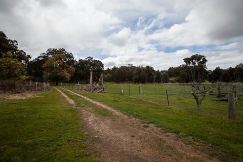 Double Oaks Tiny House - Accommodation NSW 2