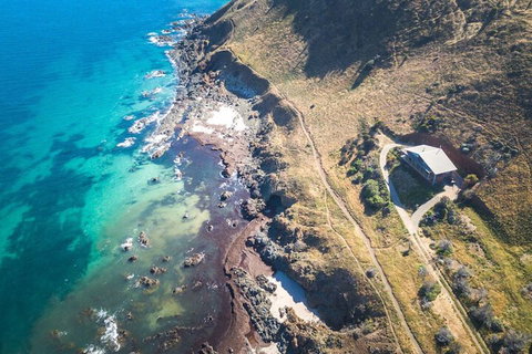 Cliffs End Beach Shack 105 Gold Coast Drive Carrickalinga - Accommodation NSW 1