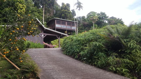 Daintree Holiday Homes La Vista - Accommodation NSW 4
