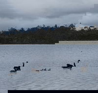 Lake Yalleena Nature Retreat - Accommodation NSW