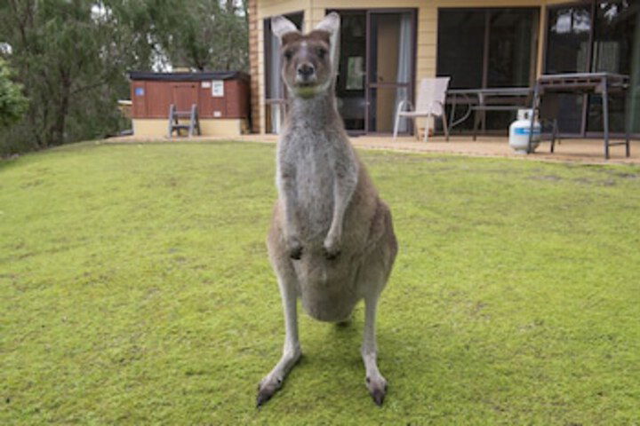 Metricup WA Accommodation NSW
