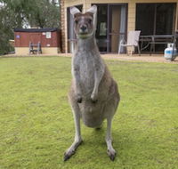 Yelverton Brook Conservation Sanctuary - Accommodation NSW