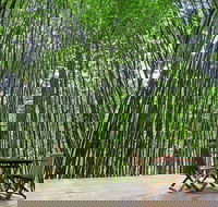 Azabu Boutique Accommodation Byron Bay - Accommodation NSW