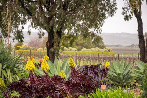 Linger Longer Vineyard Bed & Breakfast - Accommodation NSW 2