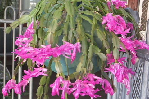 Kathys Place Bed And Breakfast - Accommodation NSW 1