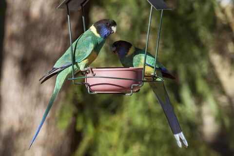 Kathys Place Bed And Breakfast - Accommodation NSW 2