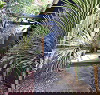 Lornebeach Apartments - Accommodation NSW