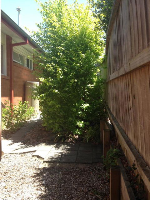Thornleigh Garden View Comfortable & Tranquil - Accommodation NSW 7