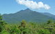 Wompoo Eco Retreat - thumb 5