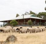 Gilgraves Vineyard Farmstay - Accommodation NSW