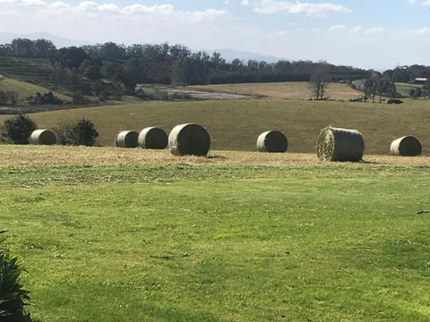 Windrush BnB Comboyne Australia - Accommodation NSW 3