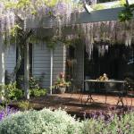 Windrush BnB Comboyne Australia - Accommodation NSW 0