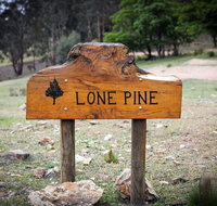 Lone Pine Farmhouse - Accommodation NSW