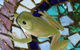 Kookaburra Cottage At Uralba Eco Cottages - thumb 4