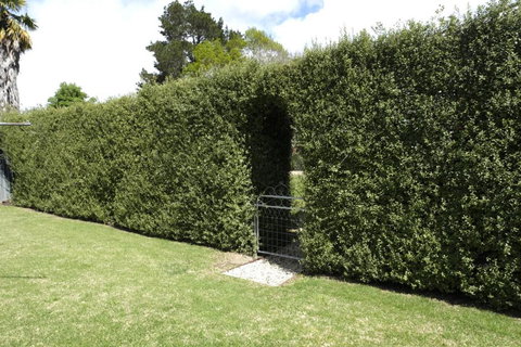 Belford House - Accommodation NSW 1