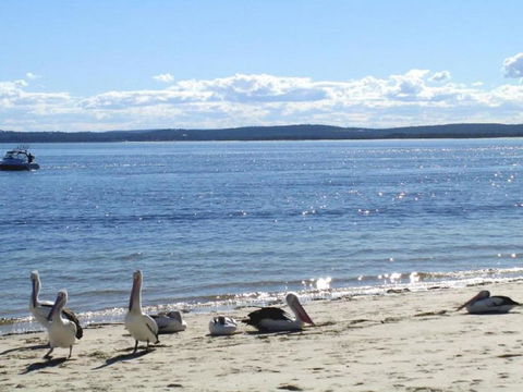 23 Bay Parklands 2 Gowrie Avenue Little Beach Air Con Pool & Tennis Court - Accommodation NSW 2