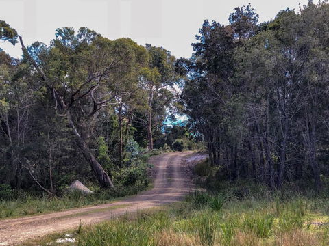 BAY Of FIRES ECO HUT Off Grid Experience At Binalong Bay - Accommodation NSW 3