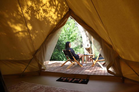 Castlemaine Gardens Luxury Glamping - Accommodation NSW 6