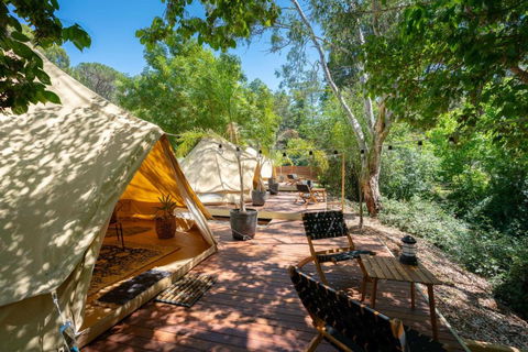 Castlemaine Gardens Luxury Glamping - Accommodation NSW 2