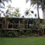 Hidden Oasis Pet Friendly In Anna Bay - Accommodation NSW 1