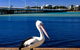 Parkside Marina 1 CBD Location - thumb 4