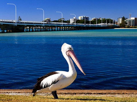 Parkside Marina 1 CBD Location - Accommodation NSW 4