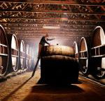 Pieter van Gent Winery  Vineyard - Accommodation NSW