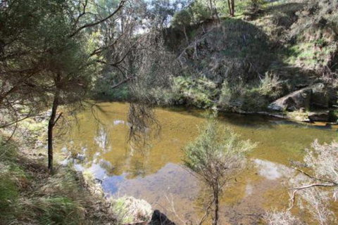 Alpine Streamside - Accommodation NSW 3