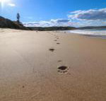 Surfers Paradise at Catherine Hill Bay - Accommodation NSW