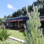 Vines & Stars - Accommodation NSW 0