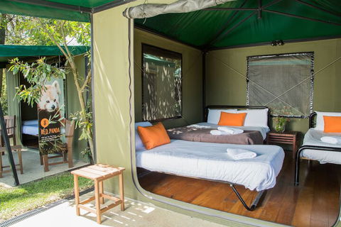 Roar And Snore At Taronga Zoo Sydney - Accommodation NSW 1