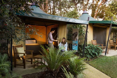 Roar And Snore At Taronga Zoo Sydney - Accommodation NSW 4