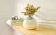 Cosy Apartment Walking Distance To Manly Beach - thumb 5