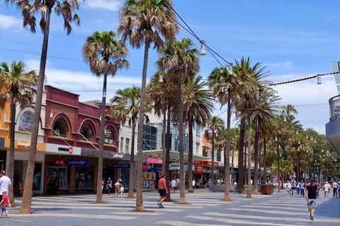 Manly Studio 2 Minutes From The Beach - Accommodation NSW 1