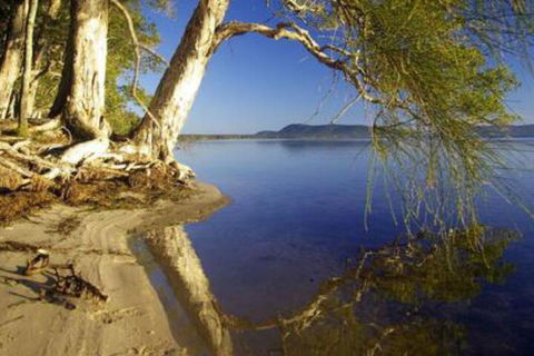 Mimosa - Accommodation NSW 1