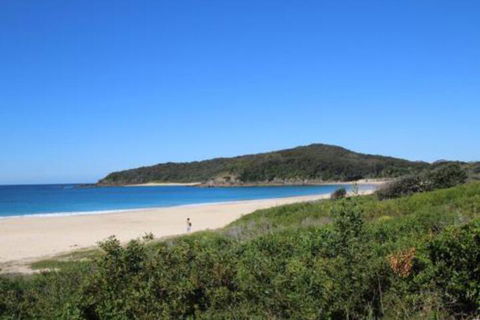 Mimosa - Accommodation NSW 4