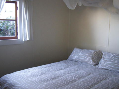 The Tree House 6 Gowing Street - Accommodation NSW 2