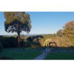 Ripplebrook Cottage - Accommodation NSW