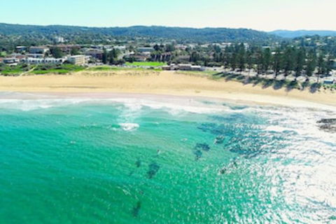 Reef Resort Apartments - Accommodation NSW 0