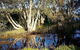 Wisteria Cottage On The Lagoon / Beach - thumb 4