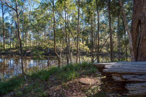 Oakey Creek Private Retreat - Accommodation NSW 2