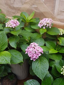 Brae Mar - Accommodation NSW 5