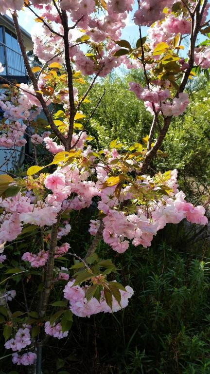 Beezneez B & B - Accommodation NSW 5