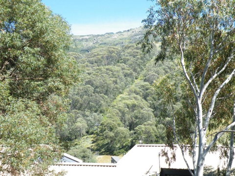 Mowamba E1 - Accommodation NSW 4