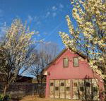 Magenta Cottage - Accommodation NSW